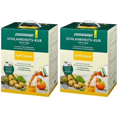 Schlankheitskur Apfel-Ingwer Bio Schoenenberger 2x 2x1 St Saft