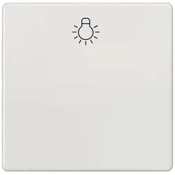 Siemens 5TG6201-0TW20 DELTA i-system Wippe mit Fenster und Symbol Licht, titanweiß 5TG62010TW20