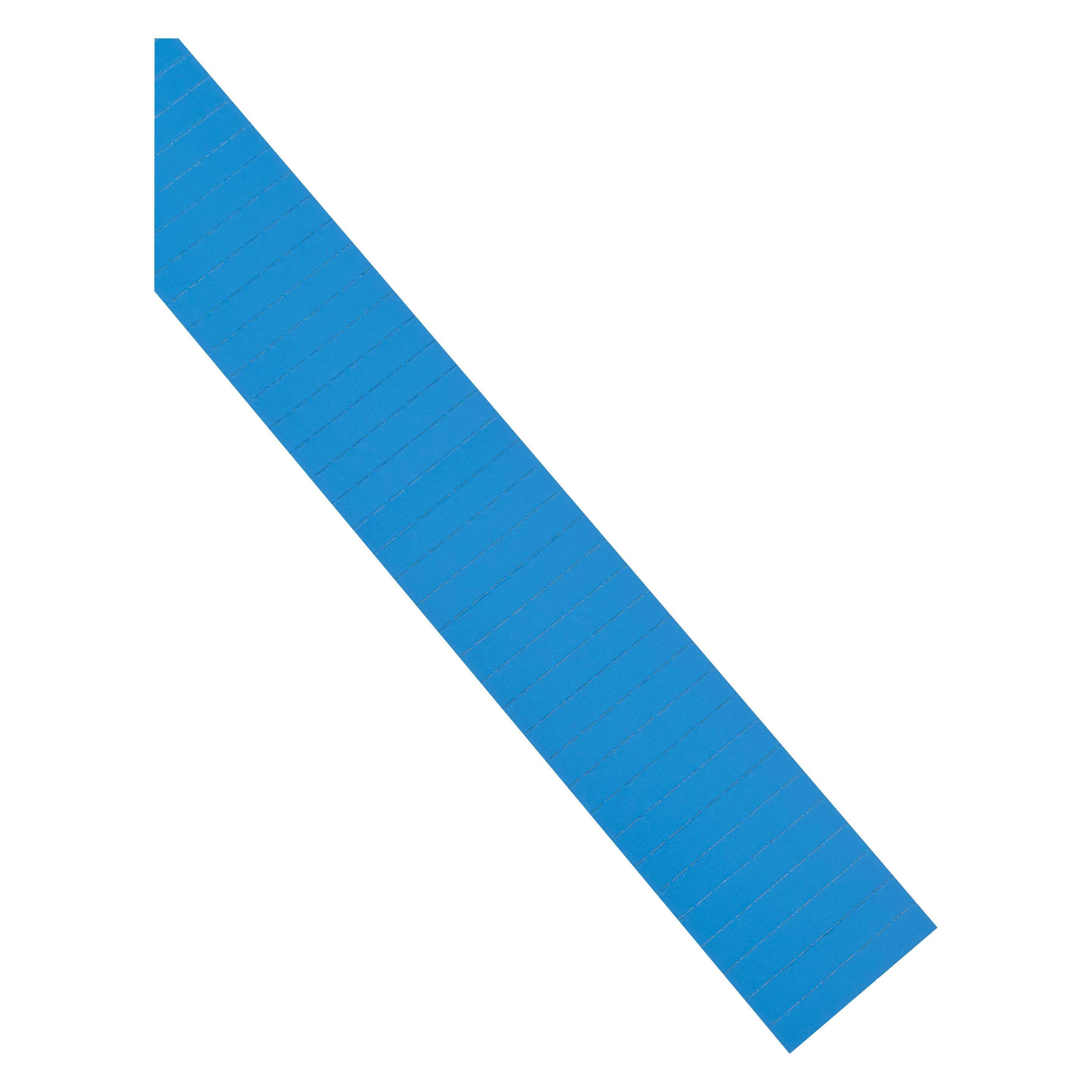 Magnetoplan ferrocard-Etiketten blau (1284103)