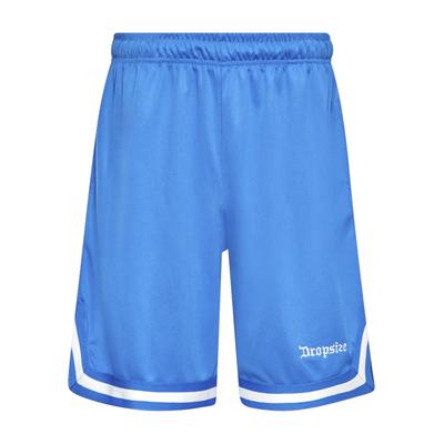 Dropsize "Dropsize Herren Dropsize Logo Mesh Shorts"