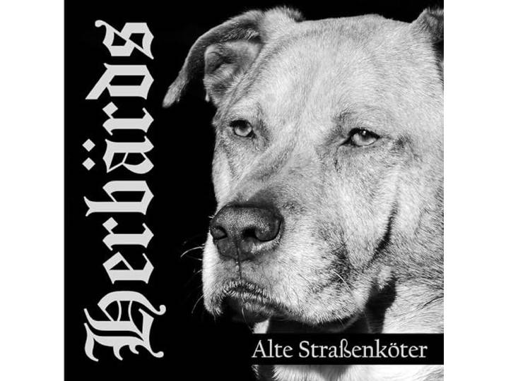 Alte Strabenkoter