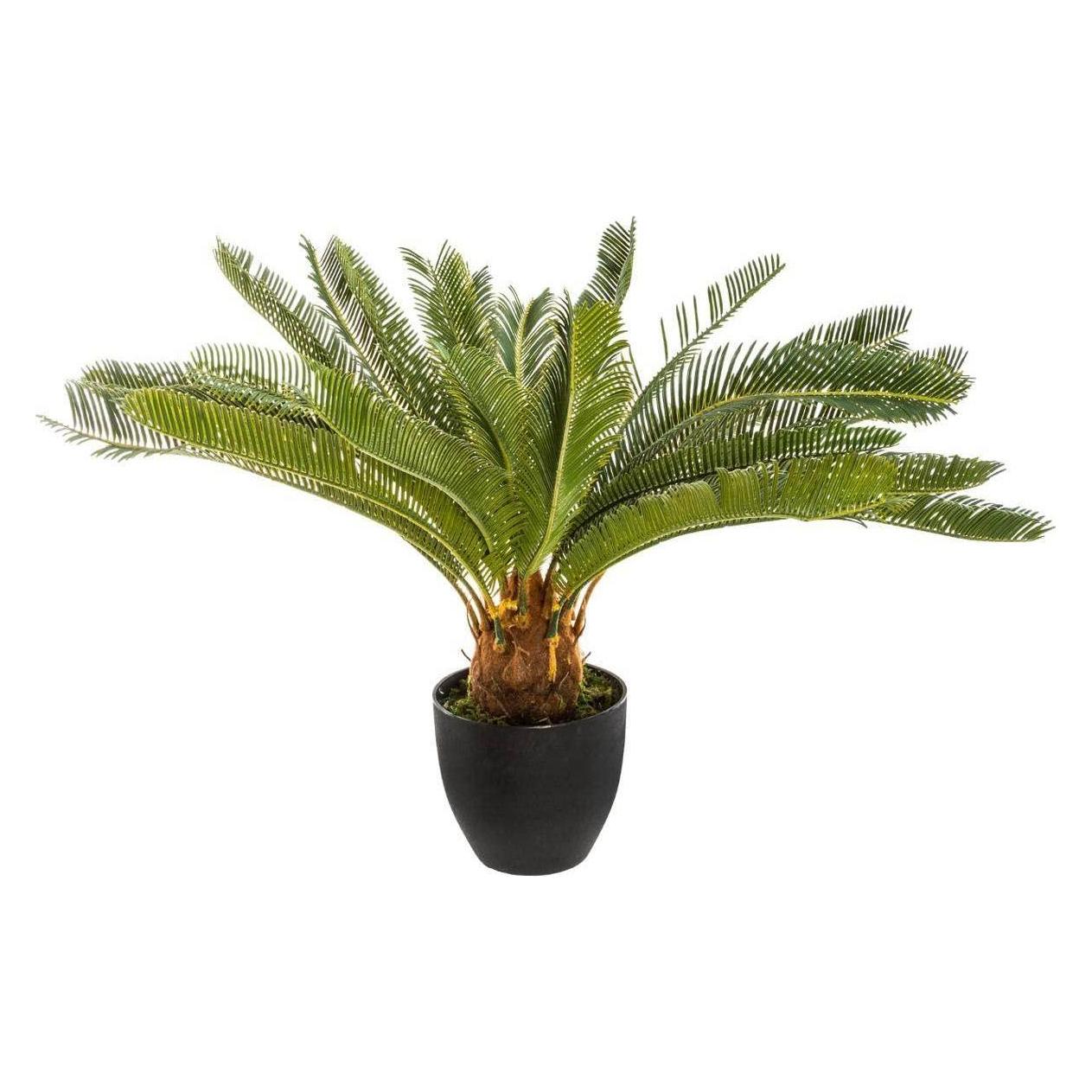Atmosphera Drzewko palmowe w doniczce 68 cm (68 cm) (42467688)