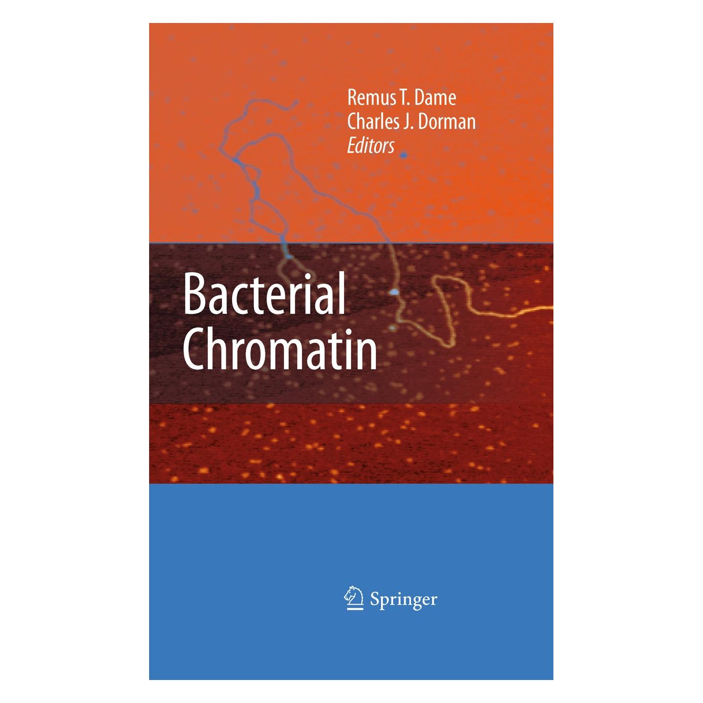 Springer Bacterial Chromatin (Englisch, Hardcover, Charles J. Dorman, Remus T. Dame) (9789048134724)