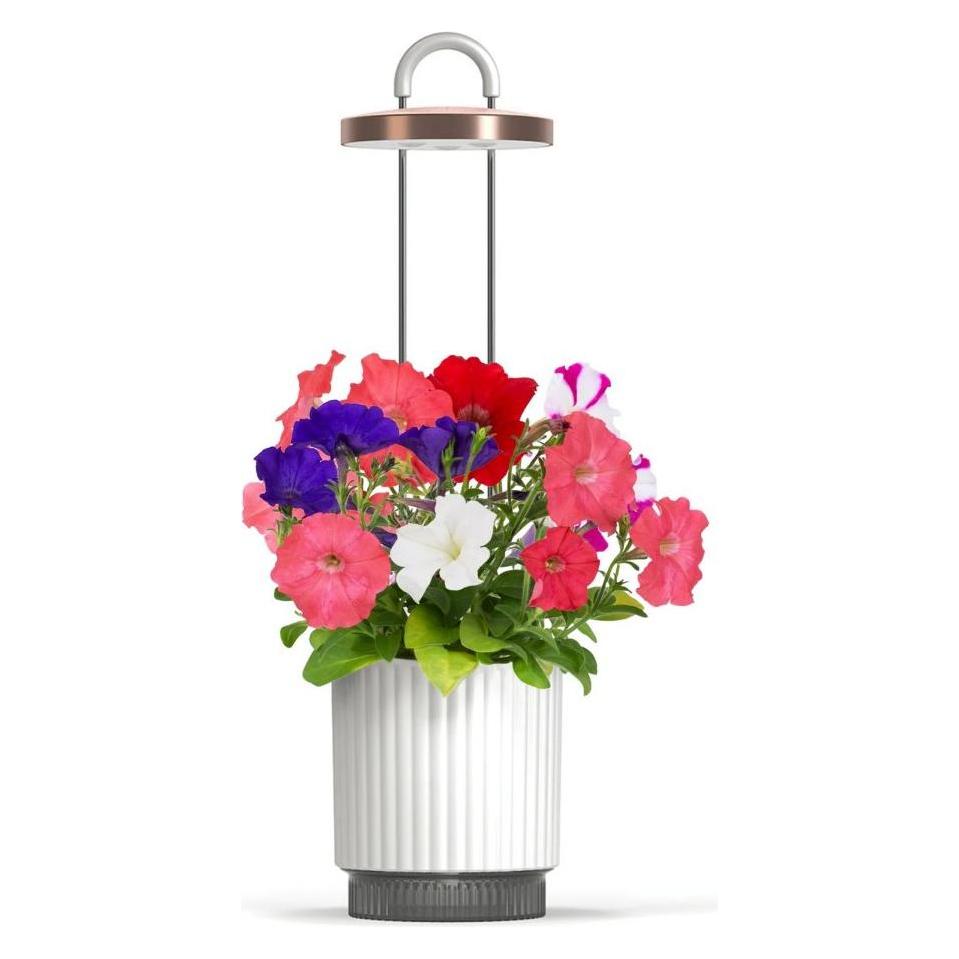 Click and Grow Click & Grow - HydroVase - Weiss (CGHVWEU)