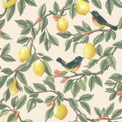 Holden Ponderosa Lemon Trail Non-Pasted Wallpaper - Covers 56 Square Feet