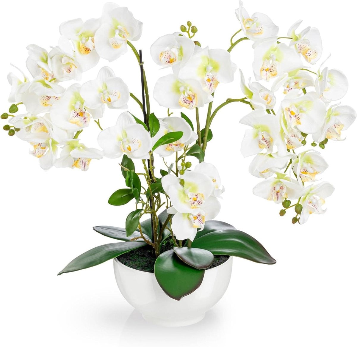 Kunst Orchidee Decoratieve Bloem in Wit met Echt Keramiek - Hoogte: 56 cm