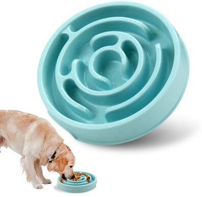 Happy Pet Pantry Premium Slow Feeder Dog Bowl Anti Gulping NonSlip Eco Dog Feeding Dish macaron Blue
