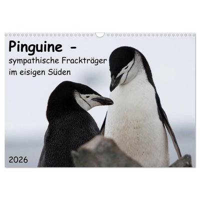 Pinguine - sympathische Frackträger im eisigen Süden (Wandkalender 2026 DIN A3 quer), CALVENDO Monatskalender