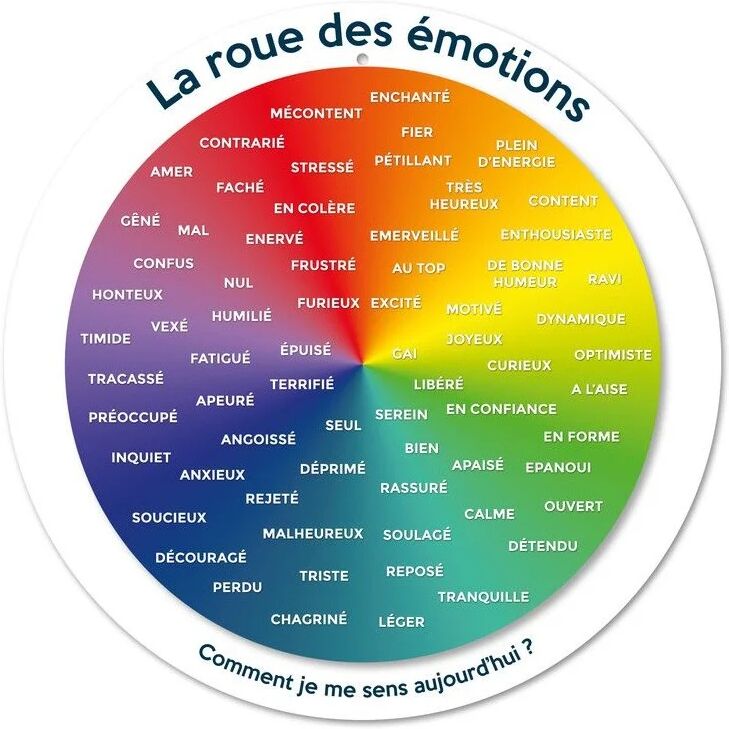 Enjoy Art - Roue des Emotions 7-99 ANS -30CM