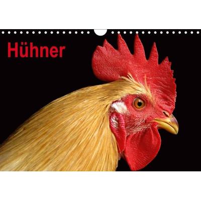 Hühner / Geburtstagskalender (Wandkalender immerwährend DIN A4 quer)