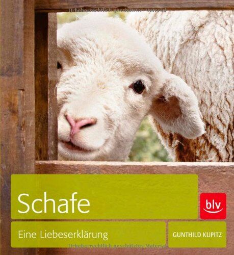 Gunthild Kupitz - Schafe: Eine Liebeserklärung - Preis vom 09.10.2026 07:28:09 h