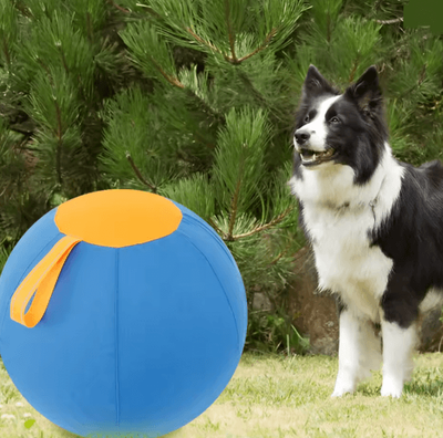 Inspire Essentials Interactive Herding Ball Dog Toy For Outdoor Training s 45cm