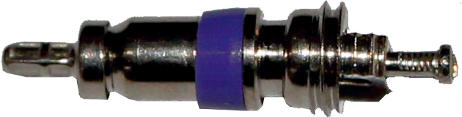 Insert de valve Wolf Schrader 207121799 pour BWL-1 à partir de 05/2010