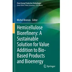 Hemicellulose Biorefinery: A Sustainable Solution for Value Addition to Bio-Based Products and Bioen, Fachbücher von Michel Brienzo