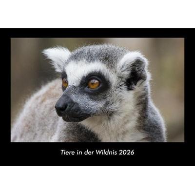 Tiere in der Wildnis 2026 Fotokalender DIN A3