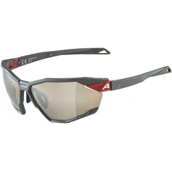 Alpina, Unisex, Sportbrille, Twist Six Q (Midnight-grey matt, Silver), Grau