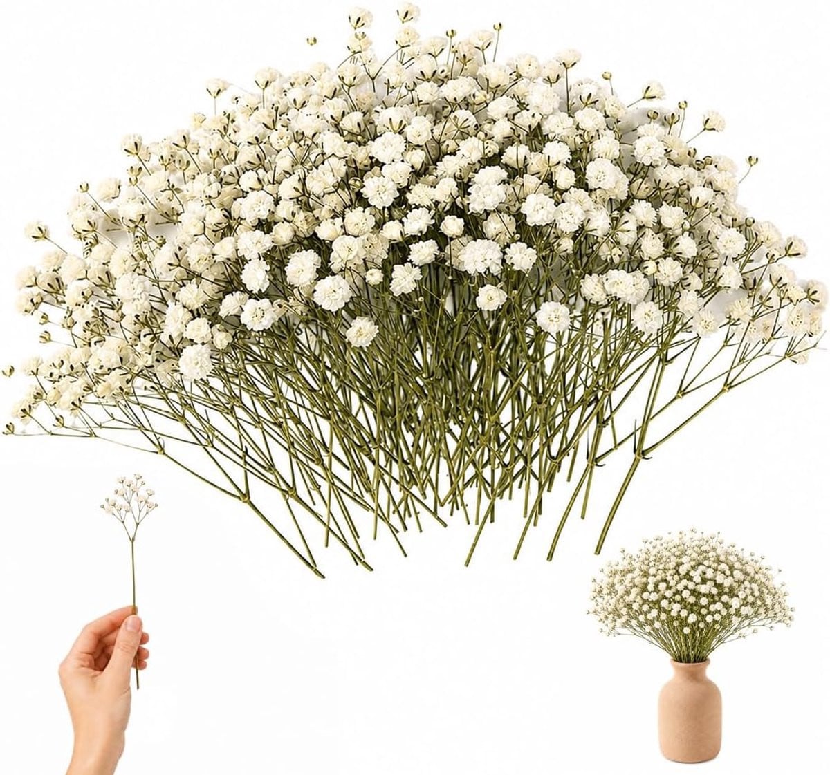 Gedroogde witte gypsophila bloemen voor decoratieve doe-het-zelfprojecten en bruiloften