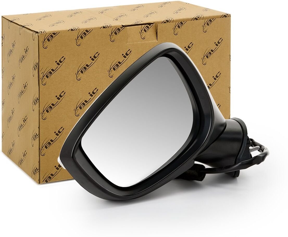 BLIC 5402-14-0770324P Wing mirror