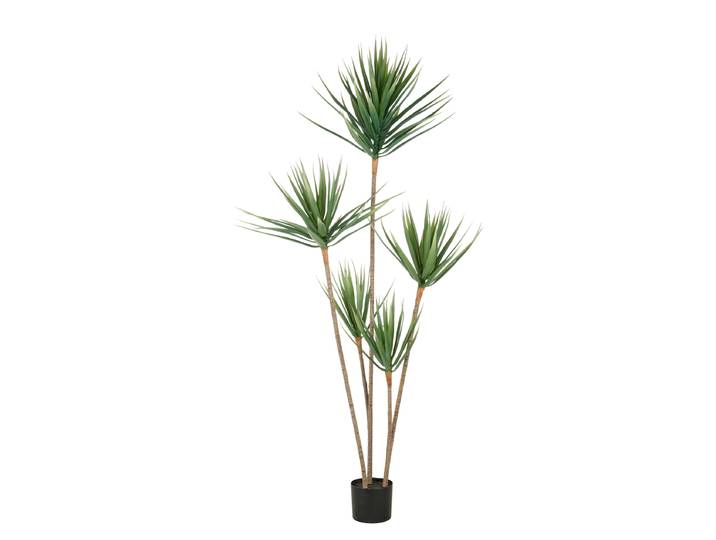 Dracaena Draco artificiel 70 x 165 x 70cm