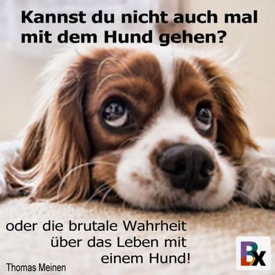Kannst du nicht auch mal mit dem Hund gehen? - Thomas Meinen, Audio, 9783755438649