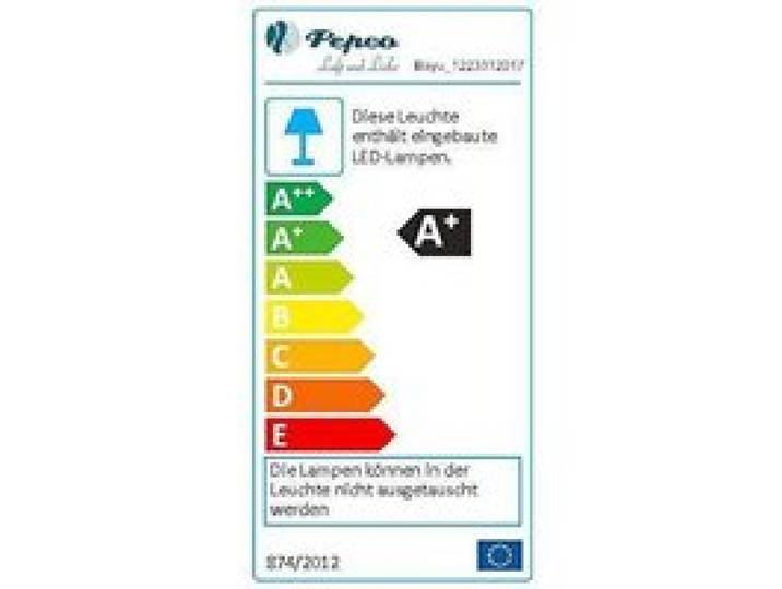 Pepeo Ventilateur de plafond à économie d`énergie Bayu avec éclairage LED dimmable Télécommande incluse 122 cm - 1223312017