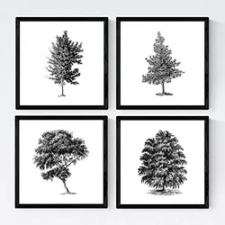 POSTER Set mit 4 Blättern der Bäume struktur 20x20cm Rahmenlos