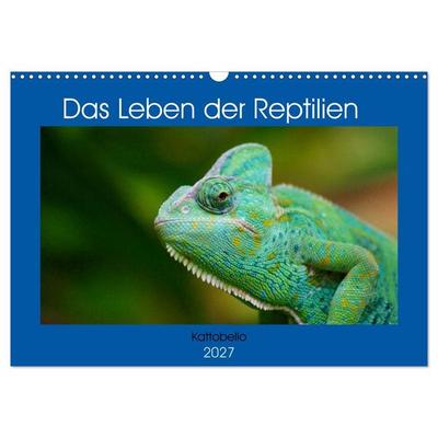 Das Leben der Reptilien (Wandkalender 2027 DIN A3 quer), CALVENDO Monatskalender