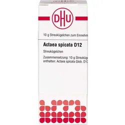 Actaea Spicata D12 10 G