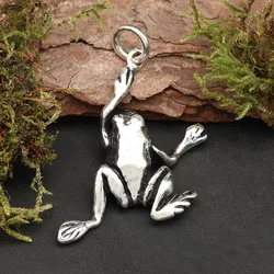 Drachensilber Frosch Kettenanhänger Schmuck 925 Silber Anhänger - Silber