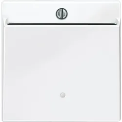 Merten Card-Schalter pws/gl 315619