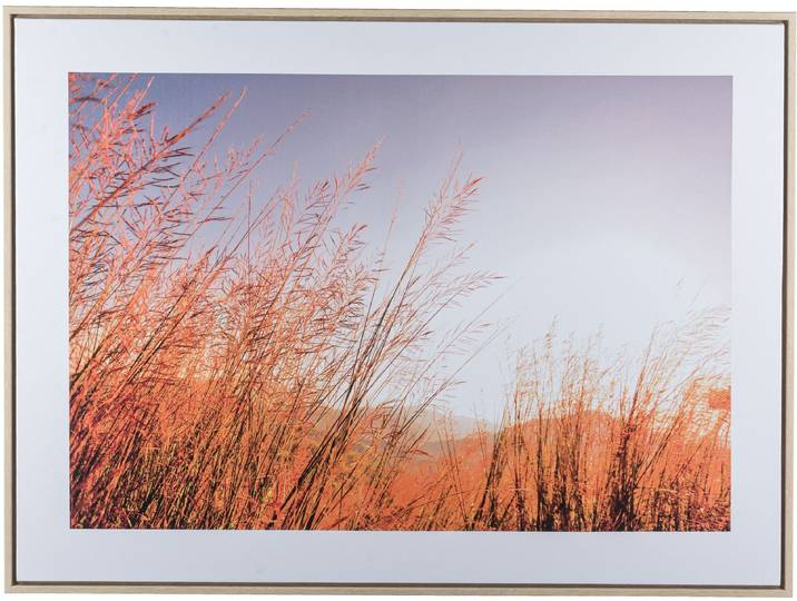 Bild mit Rahmen CREATIV HOME Wiese , beige (farbe rahmen: hellbraun, farbe bild(er): natur), B:80cm H:60cm T:2,5cm, Canvas, Kunststoff, Bilder, Bild mit Rahmen, mit besonderer Lichtstimmung