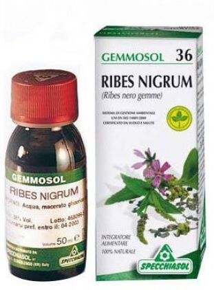 SPECCHIASOL Srl GEMMOSOL 36 Ribes Nero 100ml