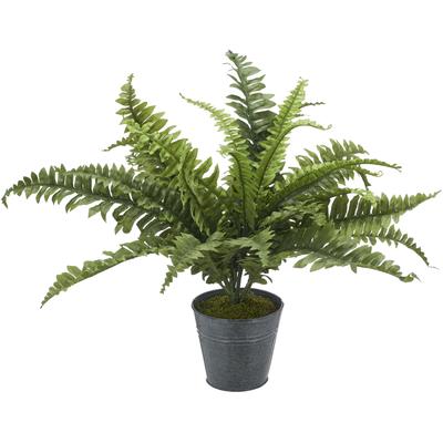 Kunstpflanze CREATIV GREEN "Bostonfarn", grün, H:50cm Ø:60cm, Kunststoff, Kunstpflanzen, Kunstpflanze, mit zahlreichen Farnwedeln