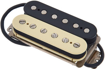 Fender Shawbucker 1 Pickup Zebra