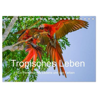 Tropisches Leben Ein Paradies des Lebens und der Farben (Tischkalender 2026 DIN A5 quer), CALVENDO Monatskalender