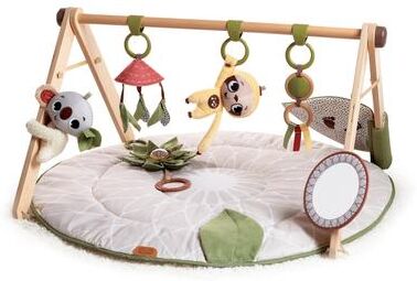 Tiny Love Boho Chic Luxe Developmental Gymini
