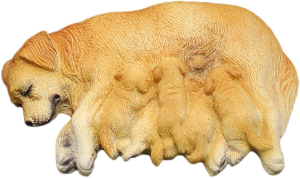 Golden Retriever Beeldje - Hondenbeeldje Labrador - Woondecoratie Buiten - Hars - 83 x 5 x 2 cm