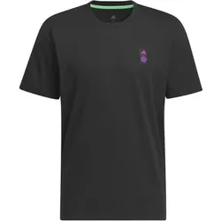 ADIDAS Herren Fanshirt FC Bayern München DNA Graphic, Größe XL in Schwarz Schwarz