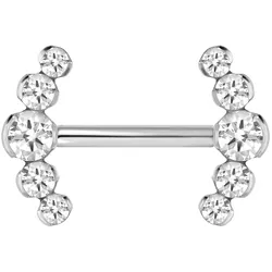 Titan Barbell mit Push Fit 5 KRISTALLE
