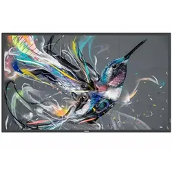 Philips Professional Displays 55BDL3511Q/00 PHILIPS Q-Line 55BDL3511Q   139,7cm(55") 18/7/UHD (Speditionsversand)