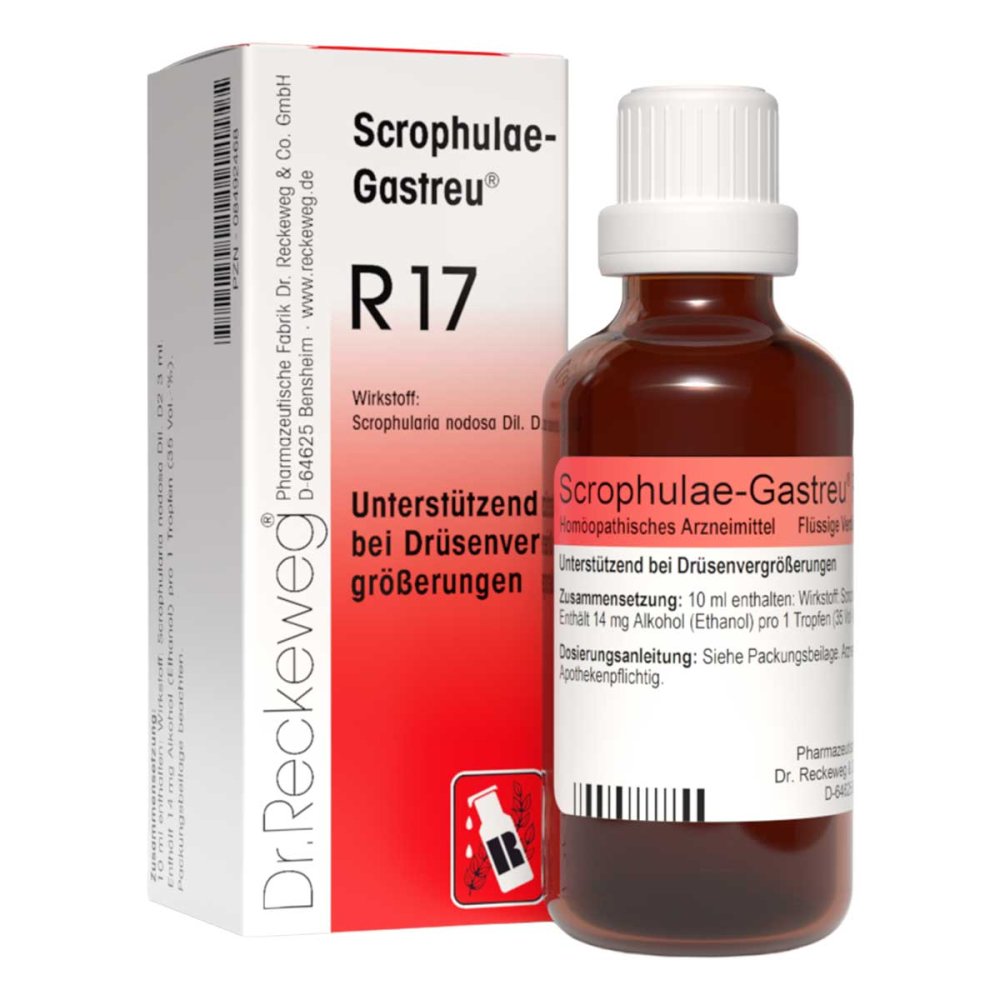 Dr.RECKEWEG & Co. GmbH Scrophulae Gastreu R 17 Tropfen zum Einnehmen 08492468