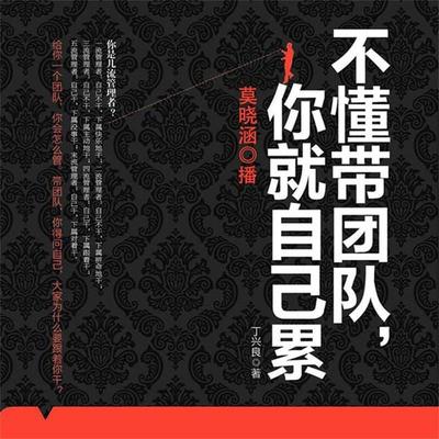 不懂带团队，你就自己累 - 丁兴良, Audio, 4099995948974