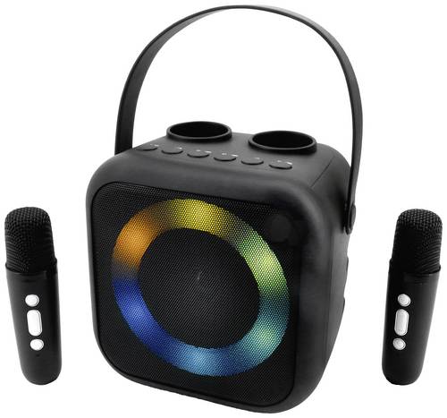 Soundmaster BT2024SW Karaoke-Anlage Inkl. Mikrofon, wiederaufladbar Schwarz