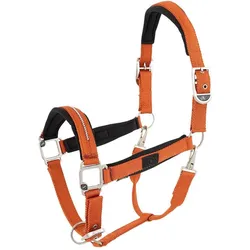 BR Equestrian Equipment, Halfter