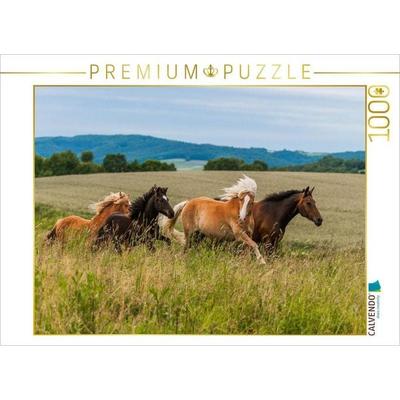 CALVENDO Puzzle Pferdeherde auf der Weide | 1000 Teile Lege-Größe 64x48cm Foto-Puzzle für glückliche Stunden
