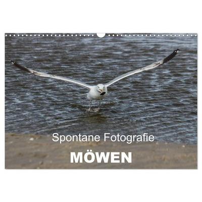 Spontane Fotografie - Möwen (Wandkalender 2026 DIN A3 quer), CALVENDO Monatskalender