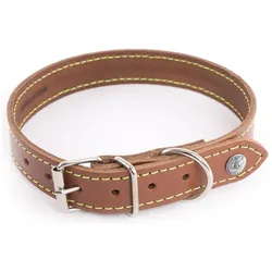 Martin Sellier Flash (47, Hund, Spazieren), Halsband + Leine