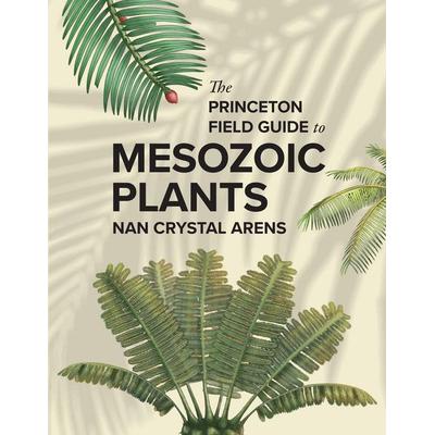 The Princeton Field Guide to Mesozoic Plants, Gebundene Ausgabe von Nan Crystal Arens, University Presses, 978-0-691-27243-6