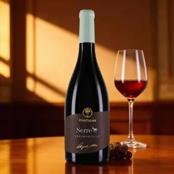 Due Palme Serre Susumaniello Salento 2022 - Rotwein trocken - Apulien, Italien