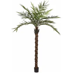 Europalms, Kunstpflanzen, Kentia Palme deluxe (300 cm)